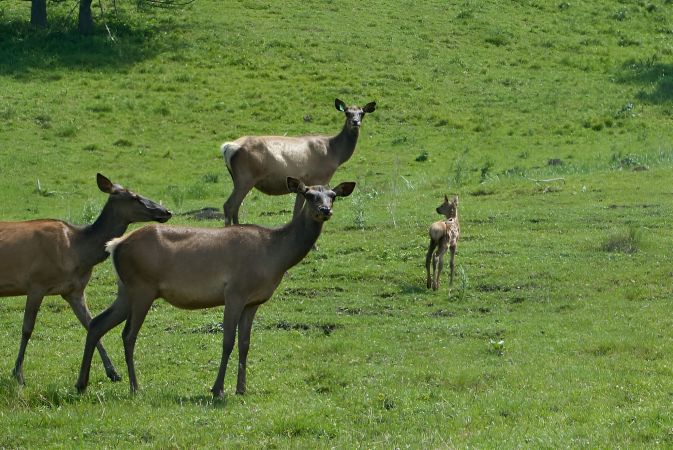 Санаторий "Обские плесы"